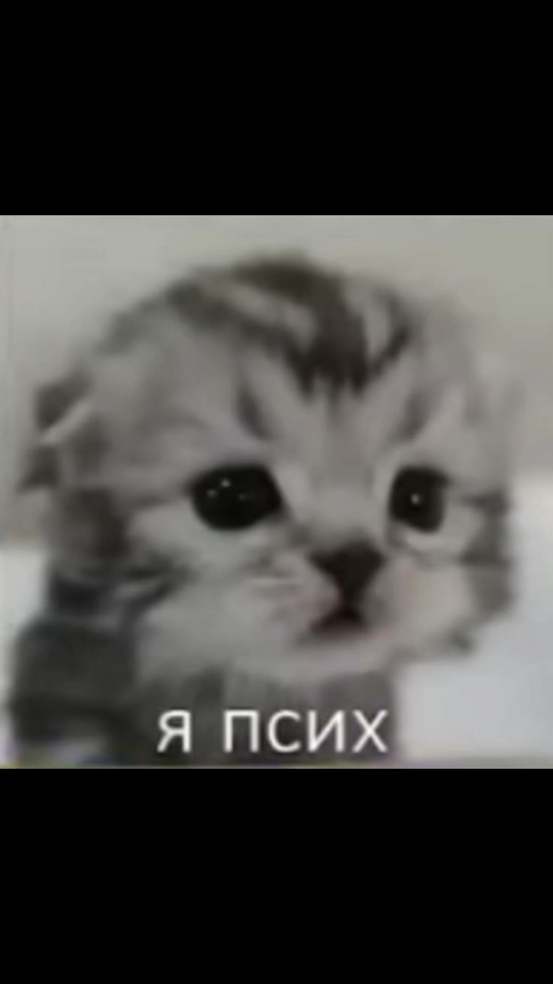 @Чиби