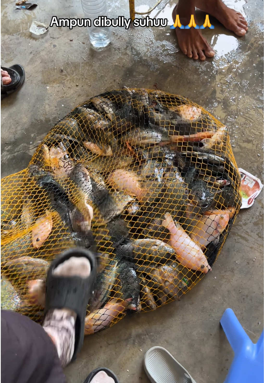 @indruz mancing