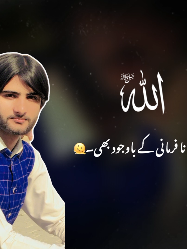 @Hasnain ᴾᴬˢᴴᴬ 🤵