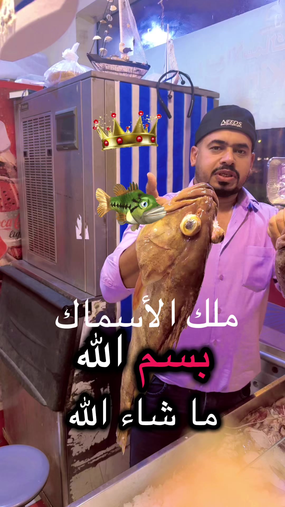 @KING FISH 🇴🇲 مـلـك الأســماك