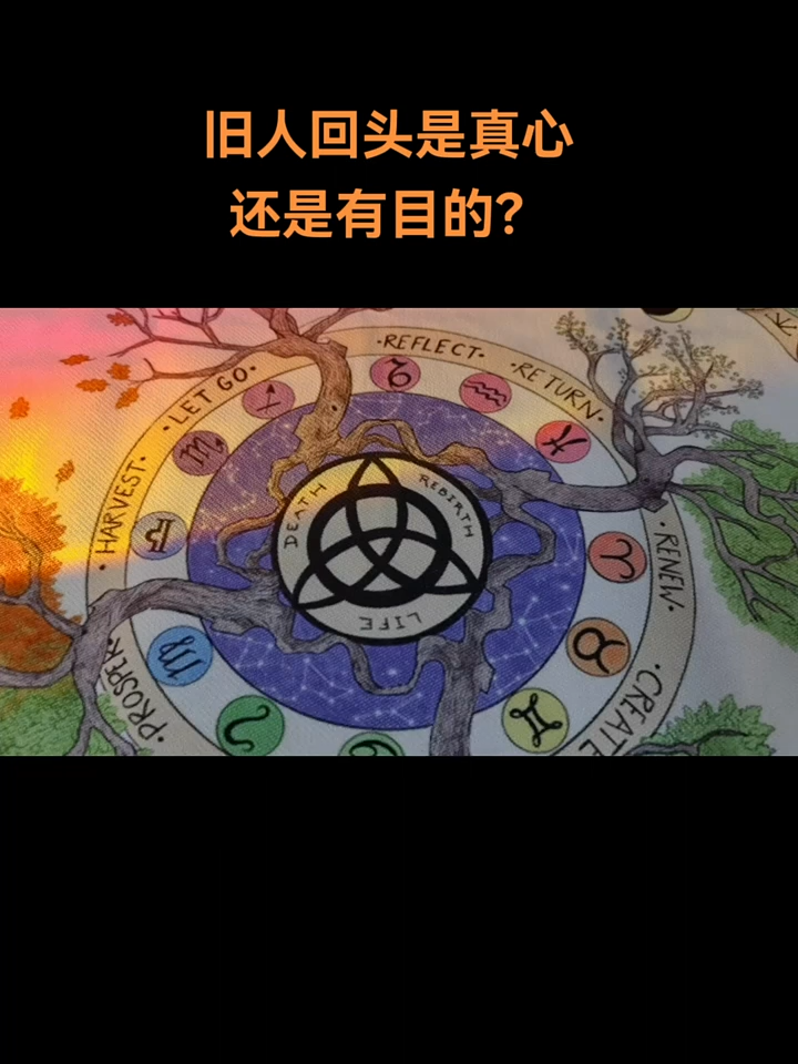 @情感 塔羅🔮