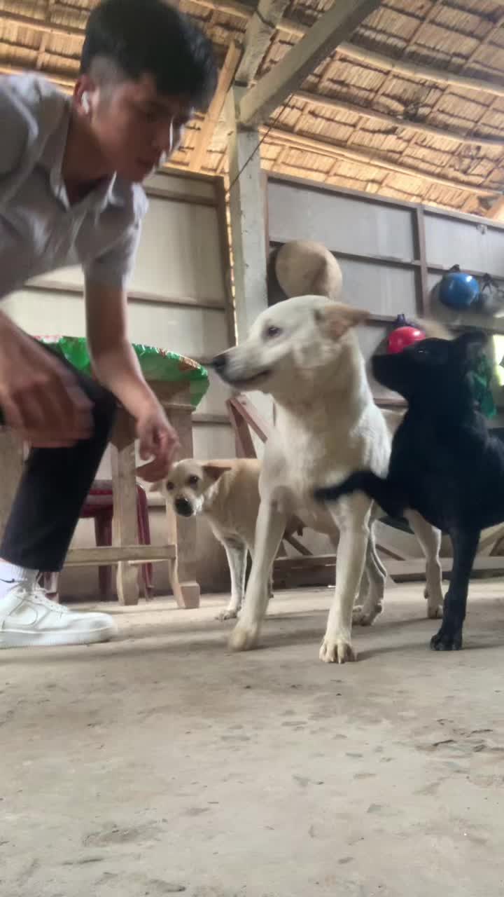 @Đào Công Nhựt ®