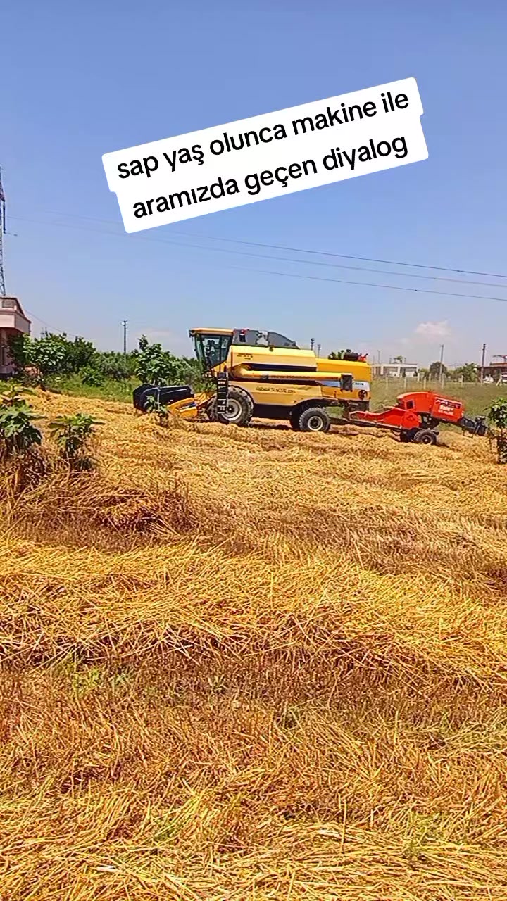 @Salim oruz