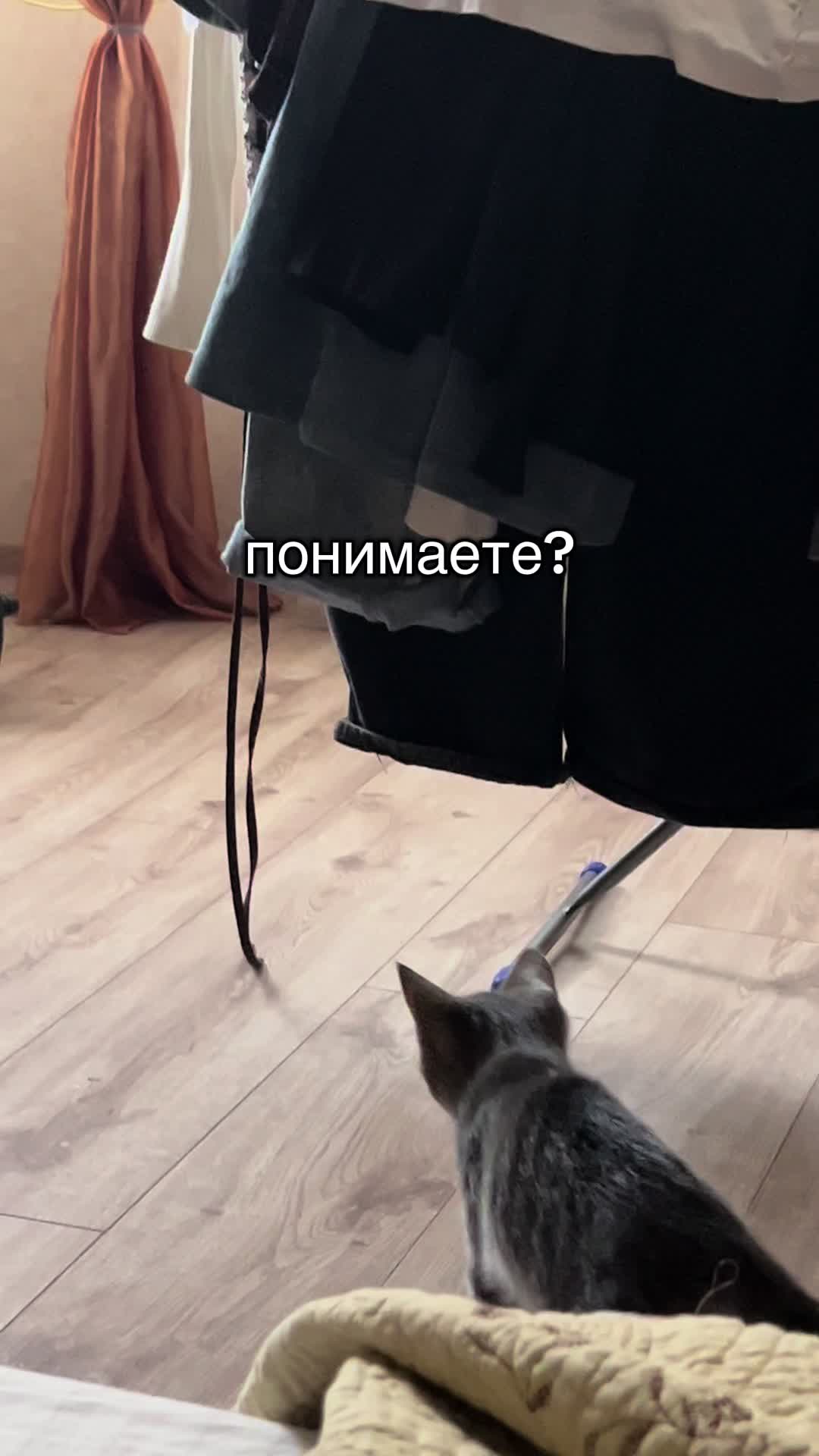 @корень