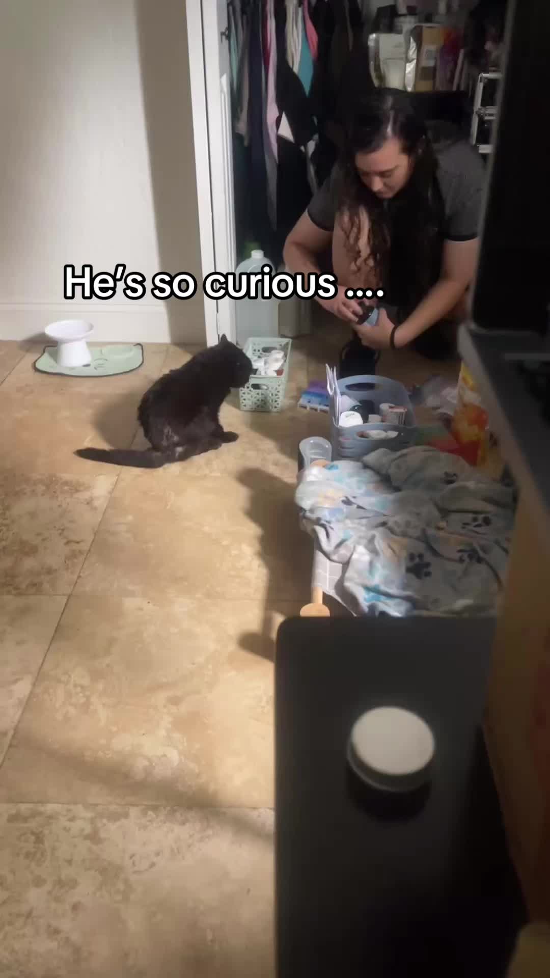 @Meow Meow