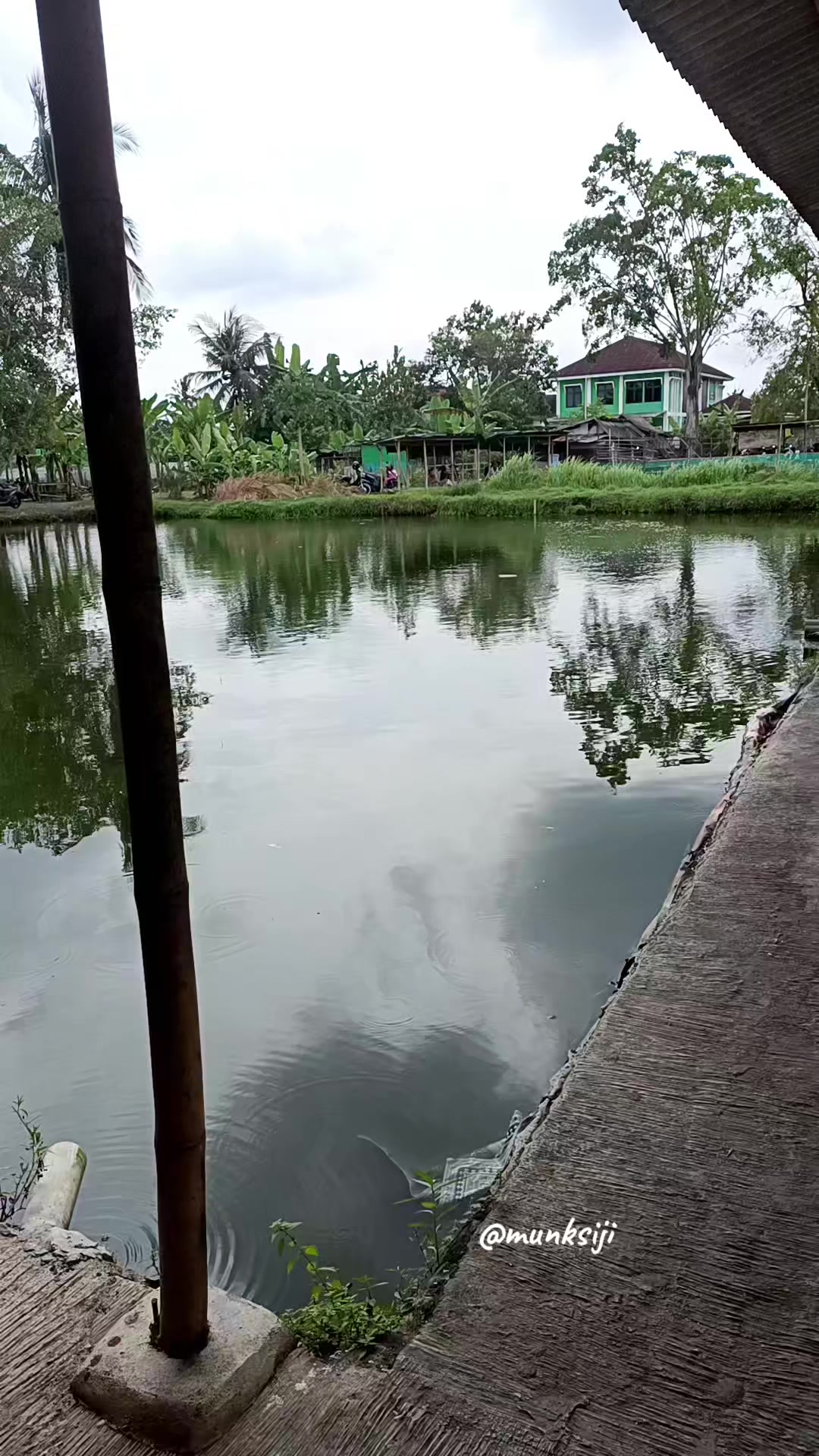 @munksiji