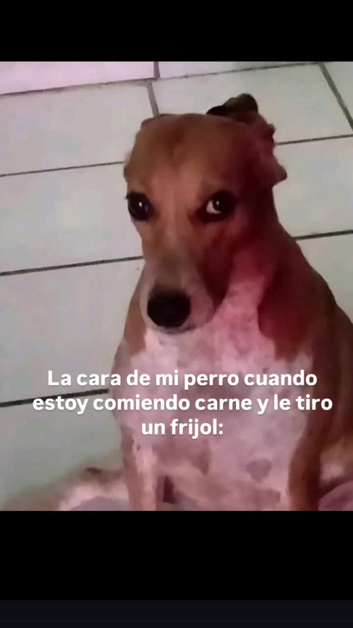 @vikiper