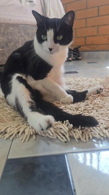 @Nelly vasquez