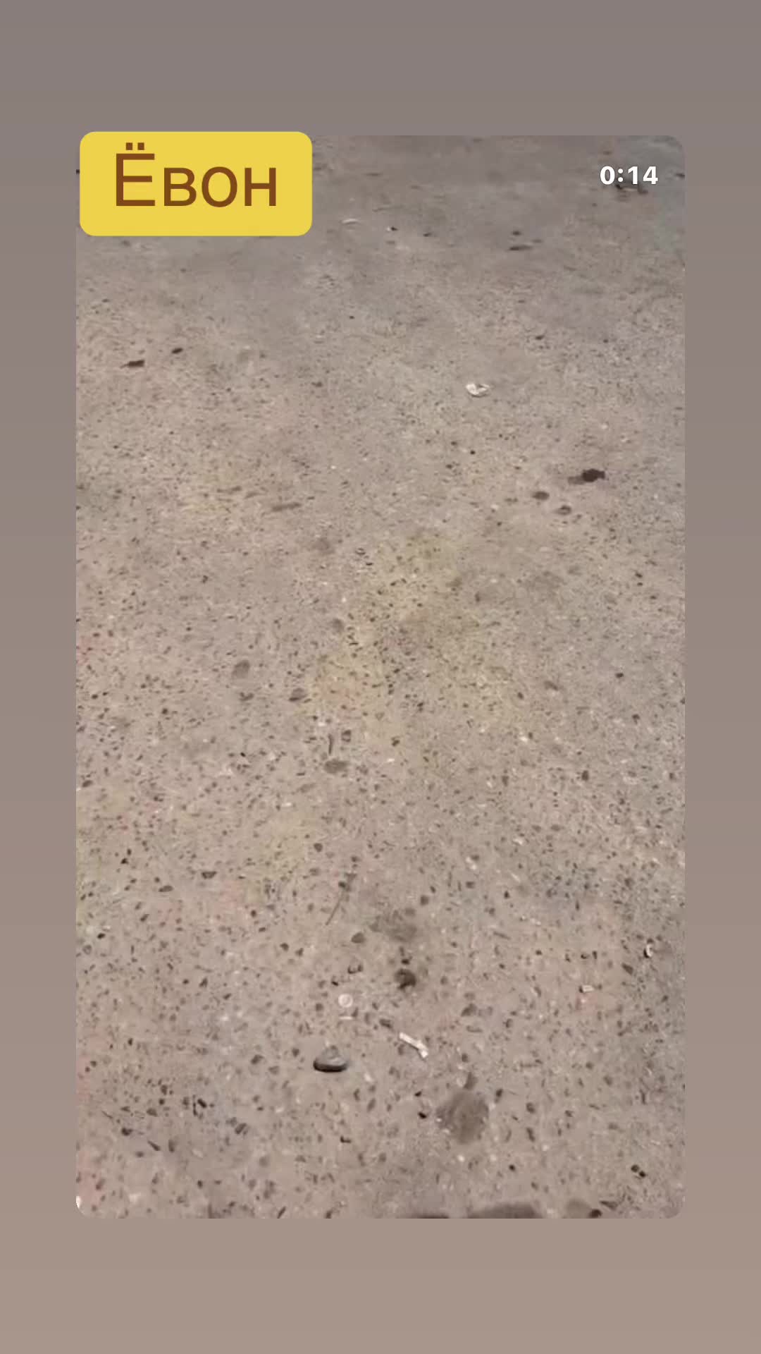 @🫴🏻🫠ёвони🫠