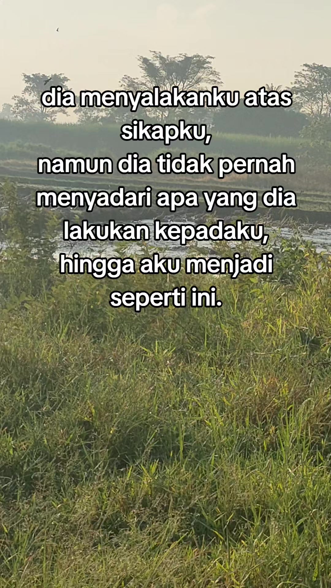 @Rohmatul A2