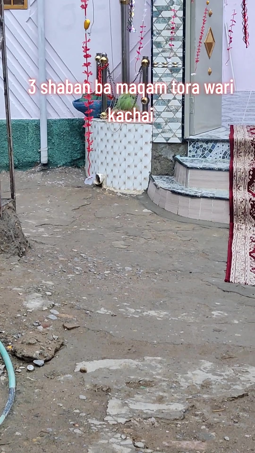 @shaheen shaheen