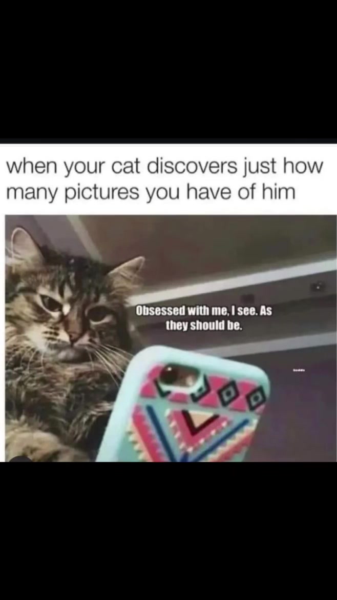 @higginsclancy2112_genx