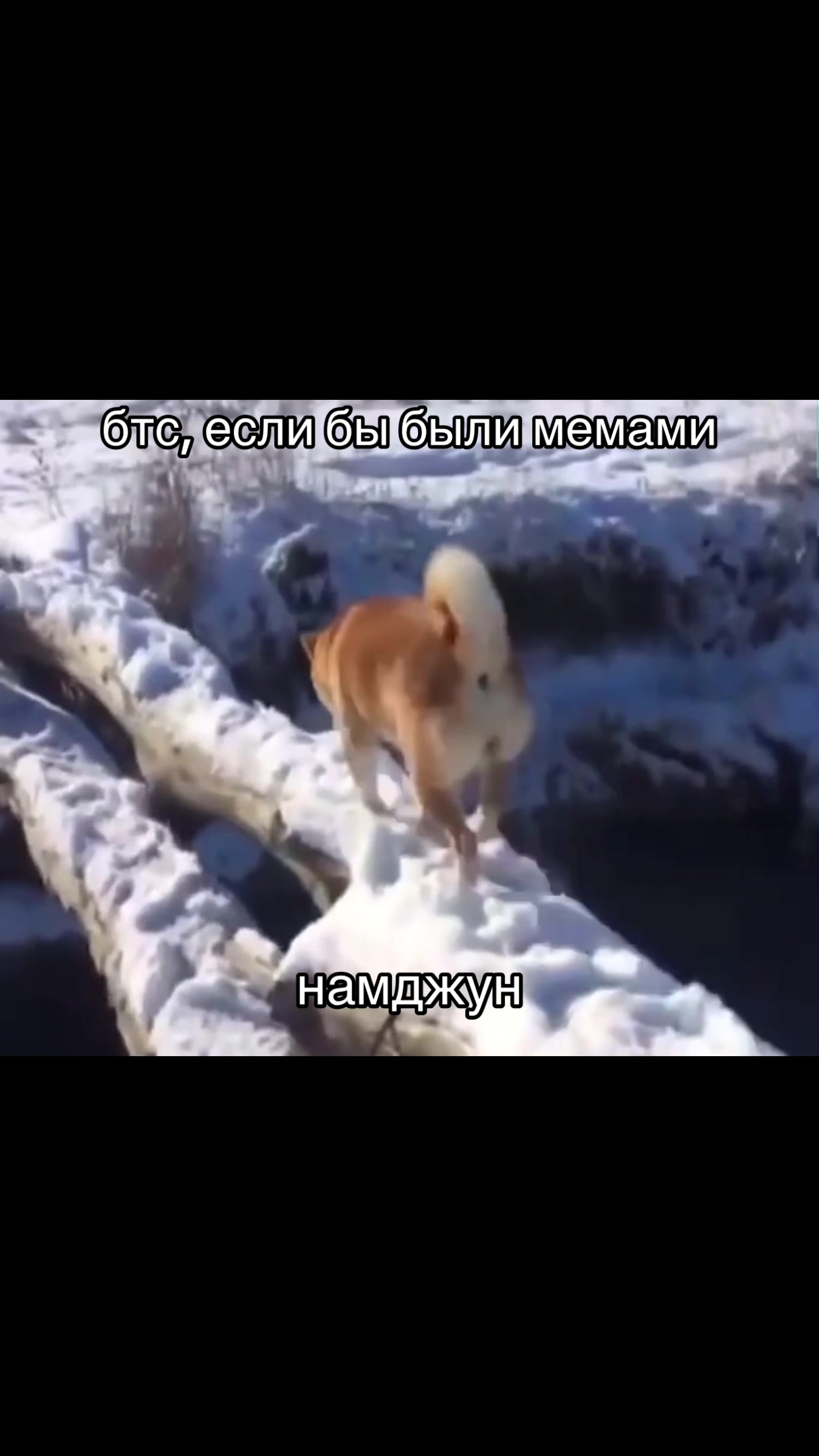 @vostok⁷