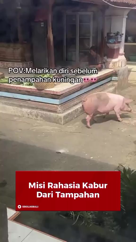 @Sekilas Bali