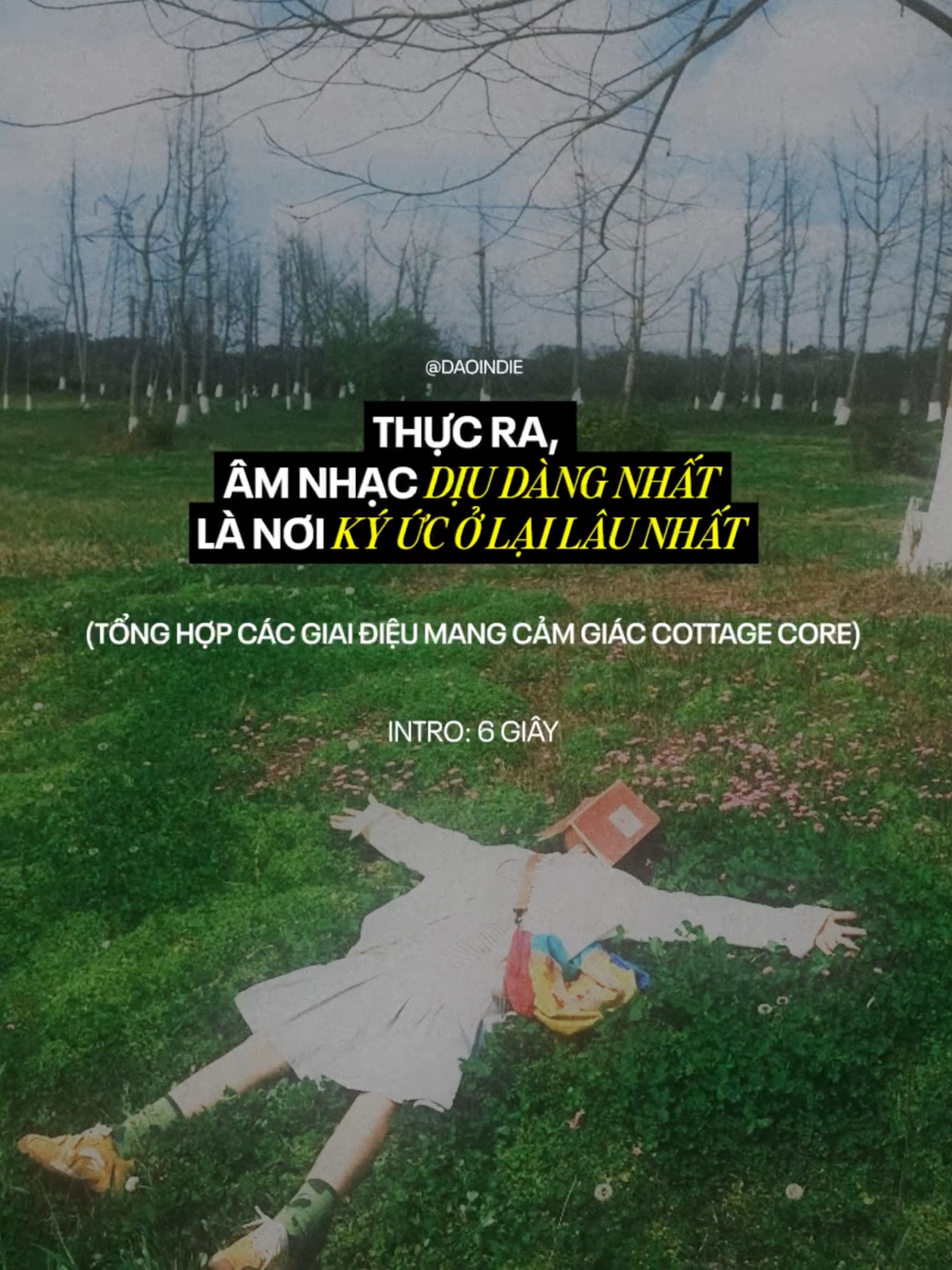 @Đảo Indie