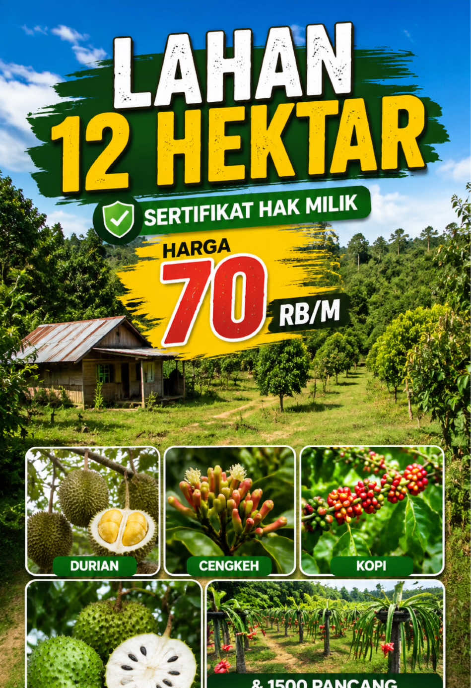 @Sumbar Property