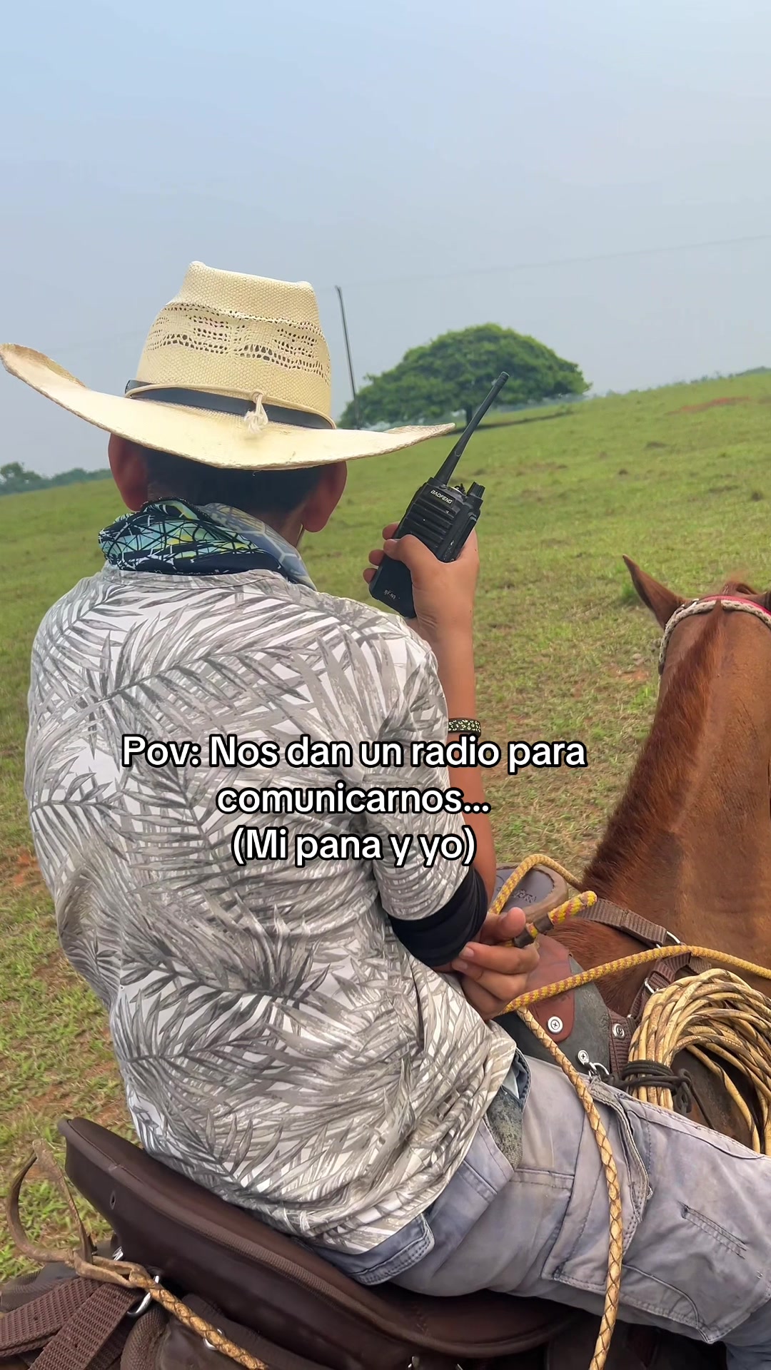 @Manuel Perez