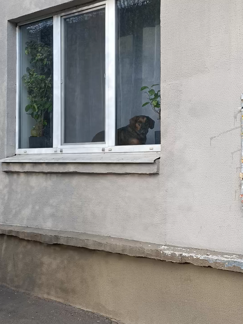 @Наталья Пудель 🐩
