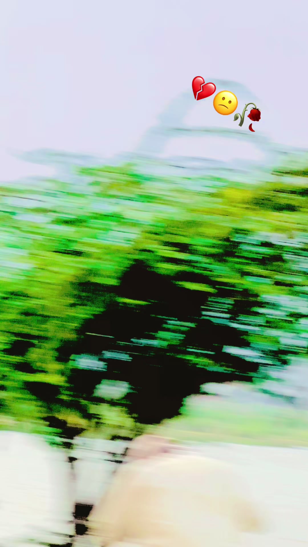 @𝔄𝔮𝔢𝔢𝔩 𝔍𝔞𝔣𝔯𝔦 ✅