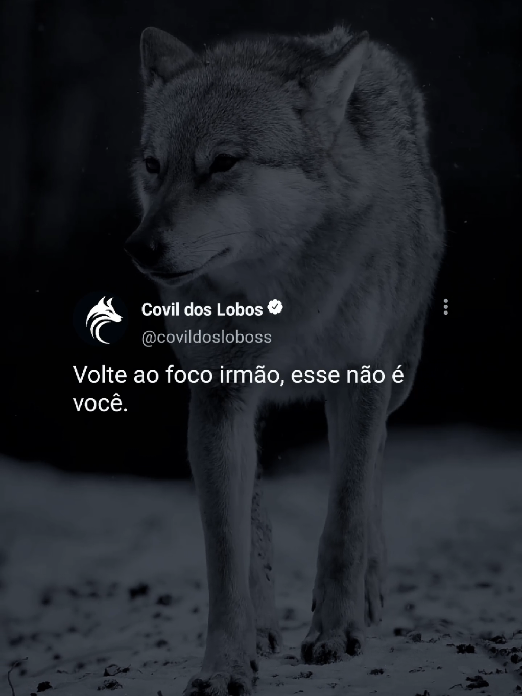 @Covil Dos Lobos