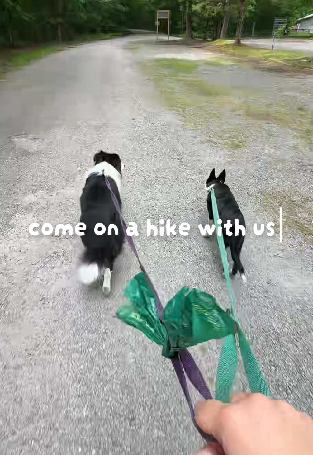 @whereborderswander