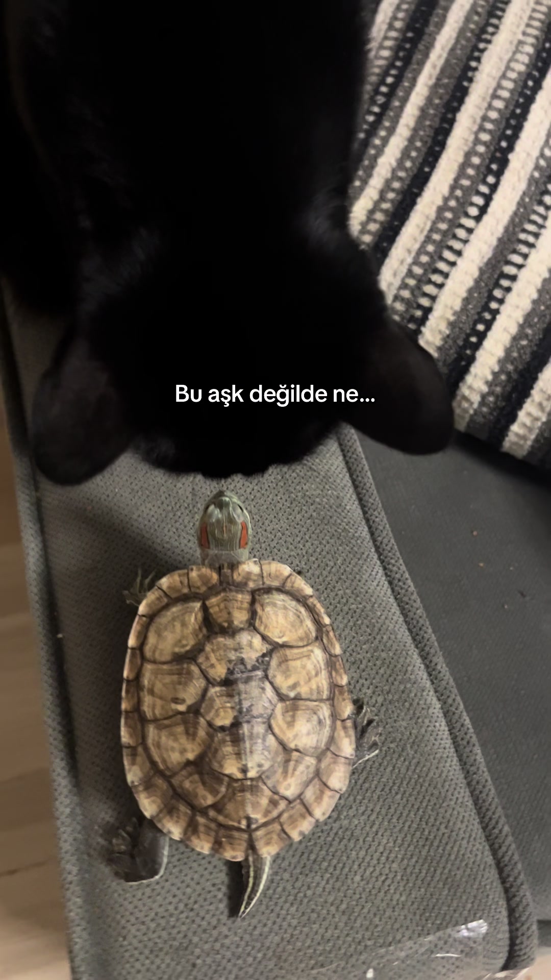 @mialashop🇹🇷