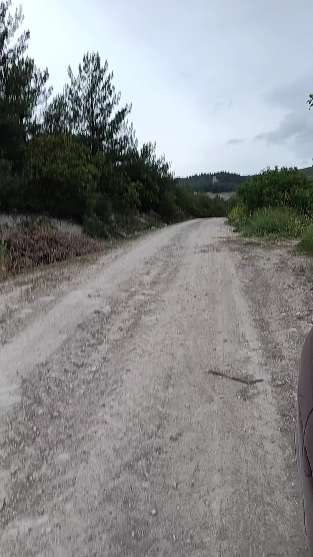 @Ayşen Uluer