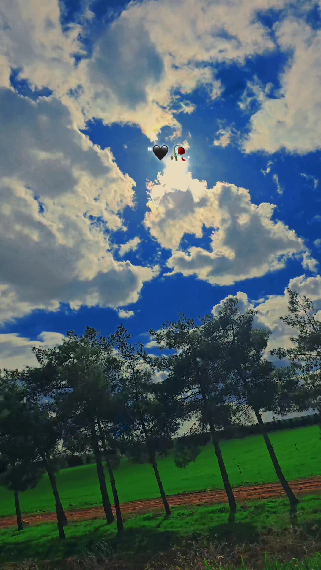 @𝐒 𝐓 𝐄 𝐑 𝐊 ✷