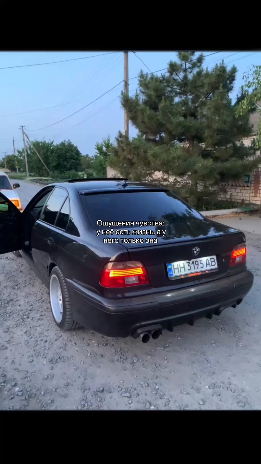 @Gurulogia🫀