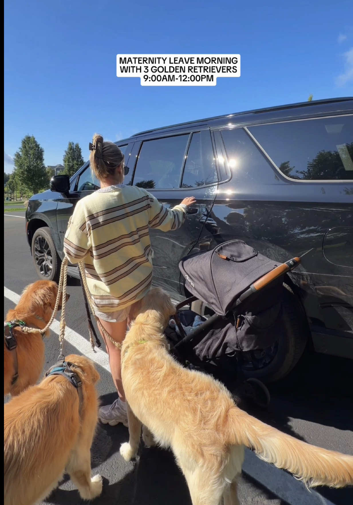 @agoldendogmom