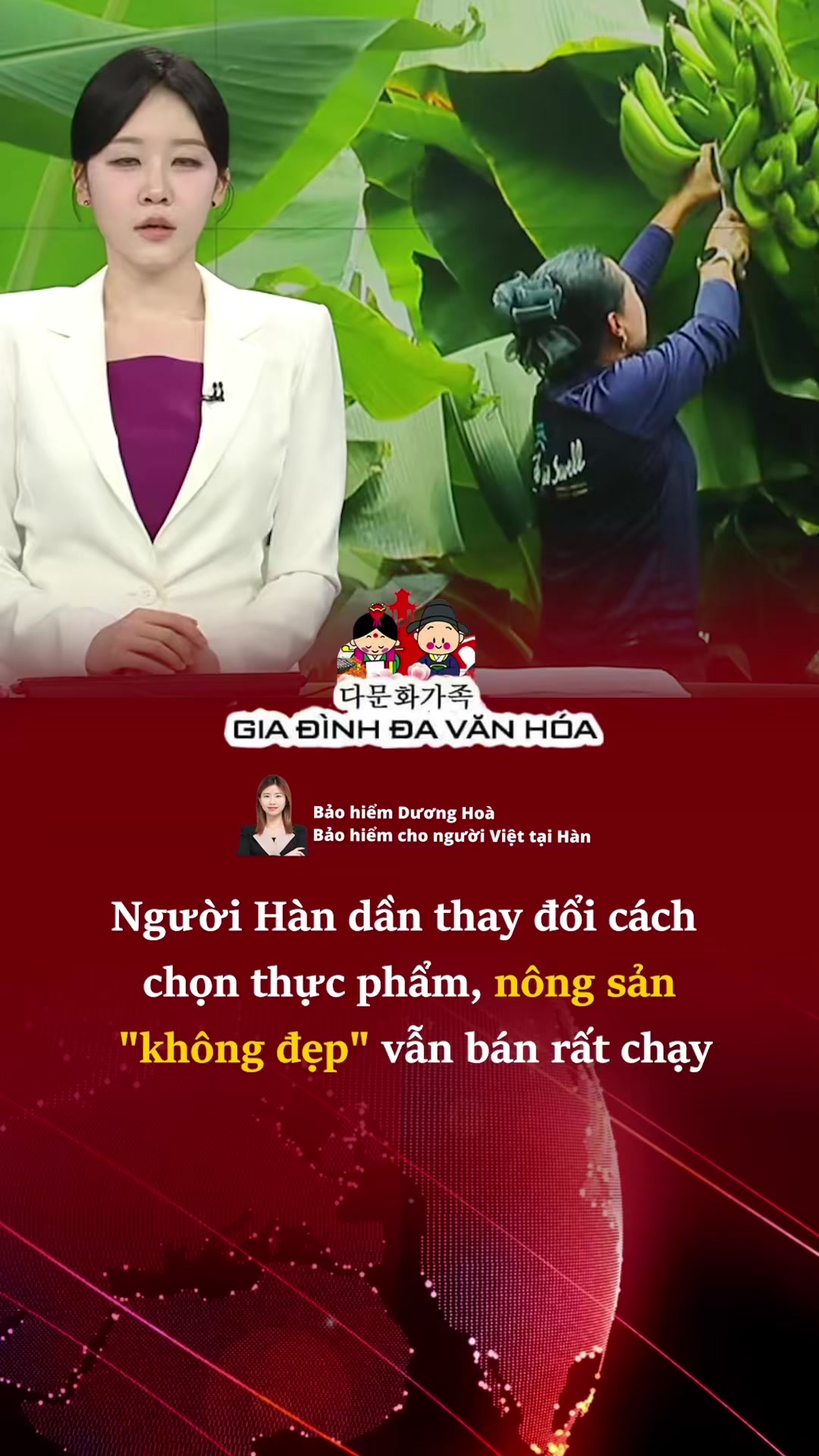 @다문화가족 - GIA ĐÌNH ĐA VĂN HÓA