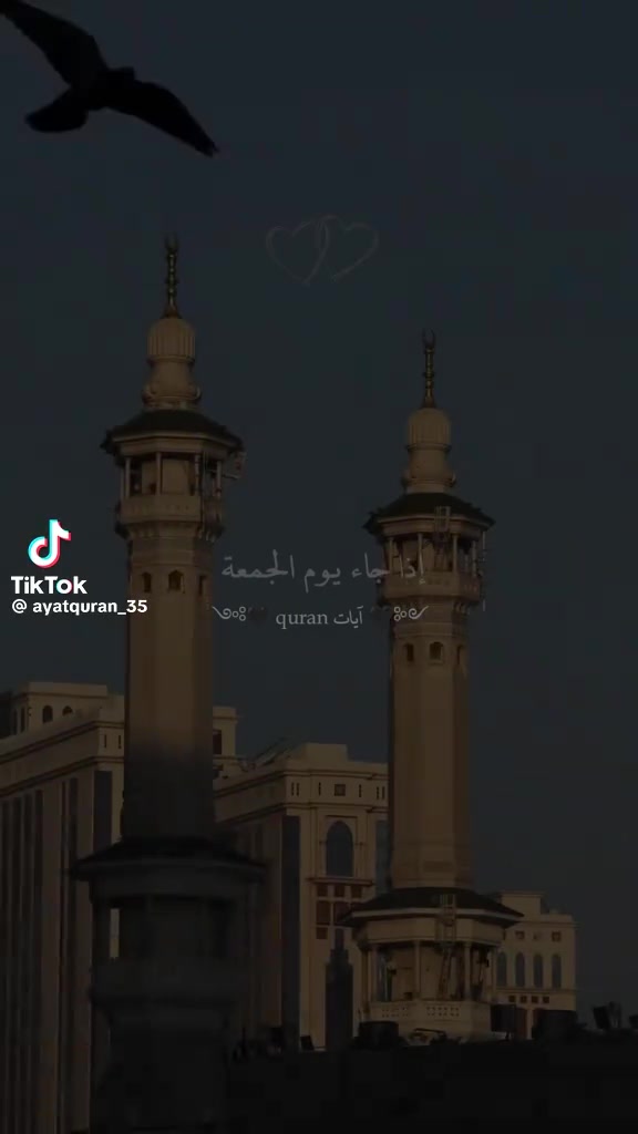 @امـــــير 🦅//𝑨𝑴𝒊𝒓