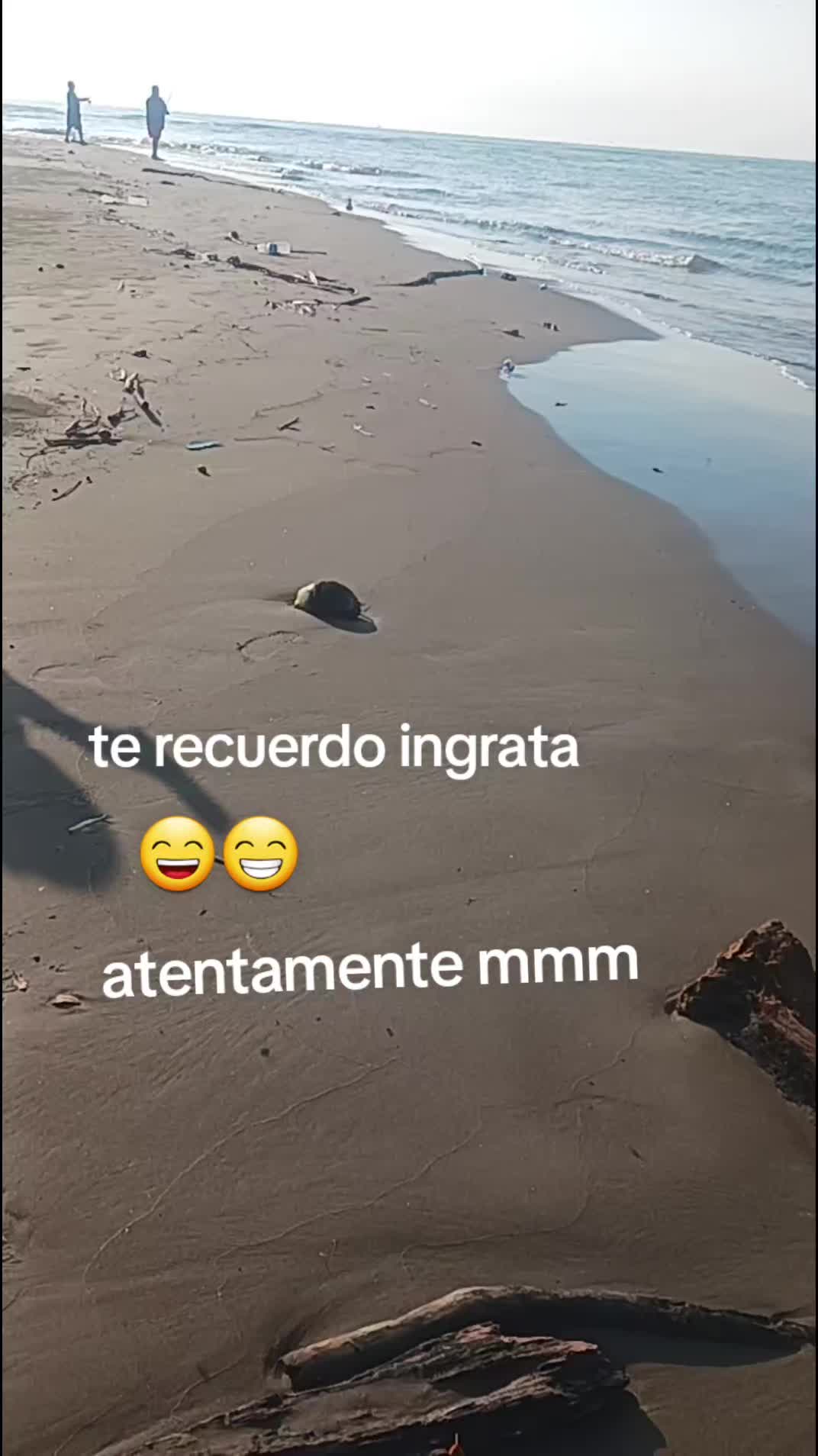 @martinmmm777