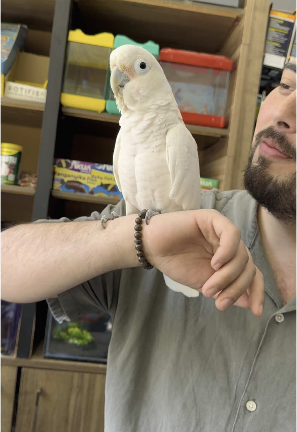 @KANMAZ PETSHOP
