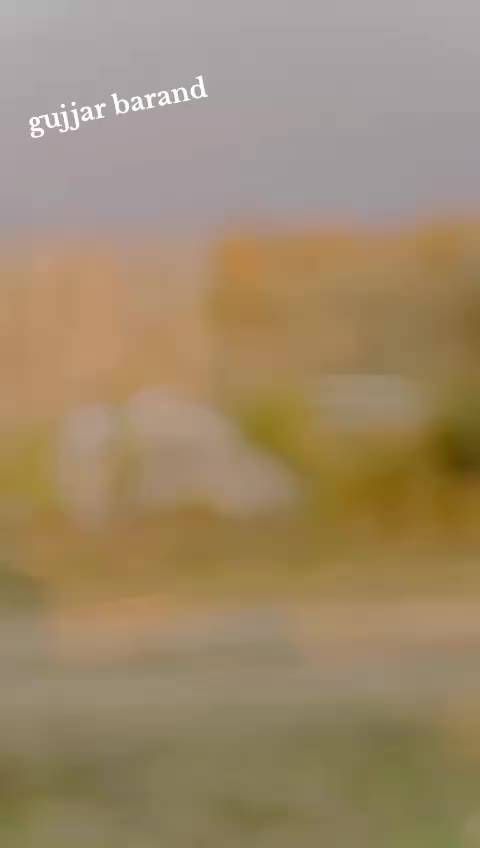 @Jani gujjar68