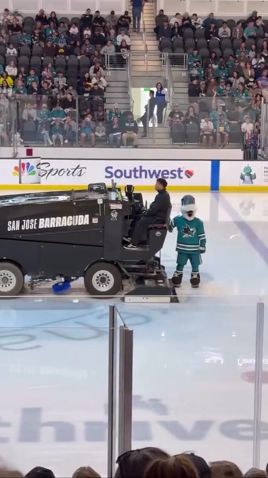 @SJ SHARKIE