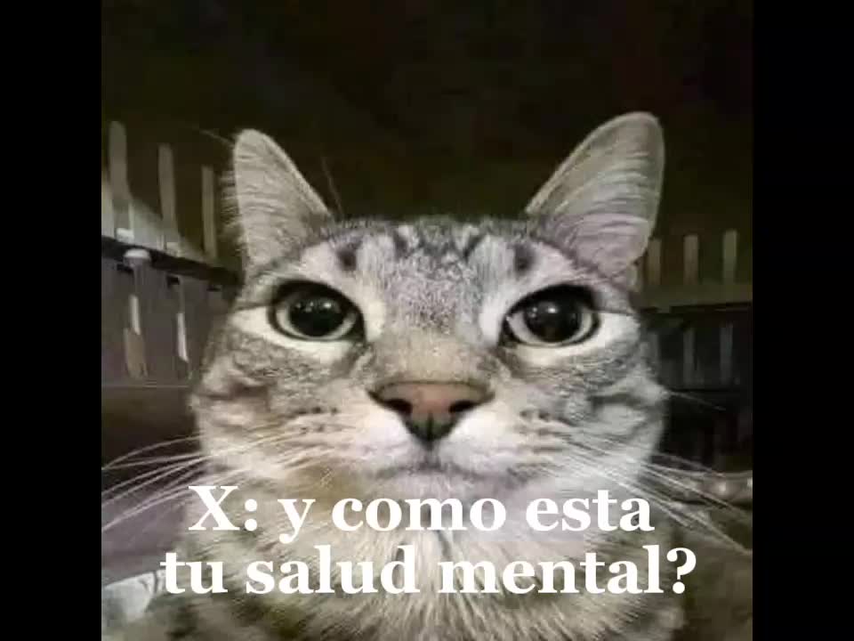 @Hugo😁