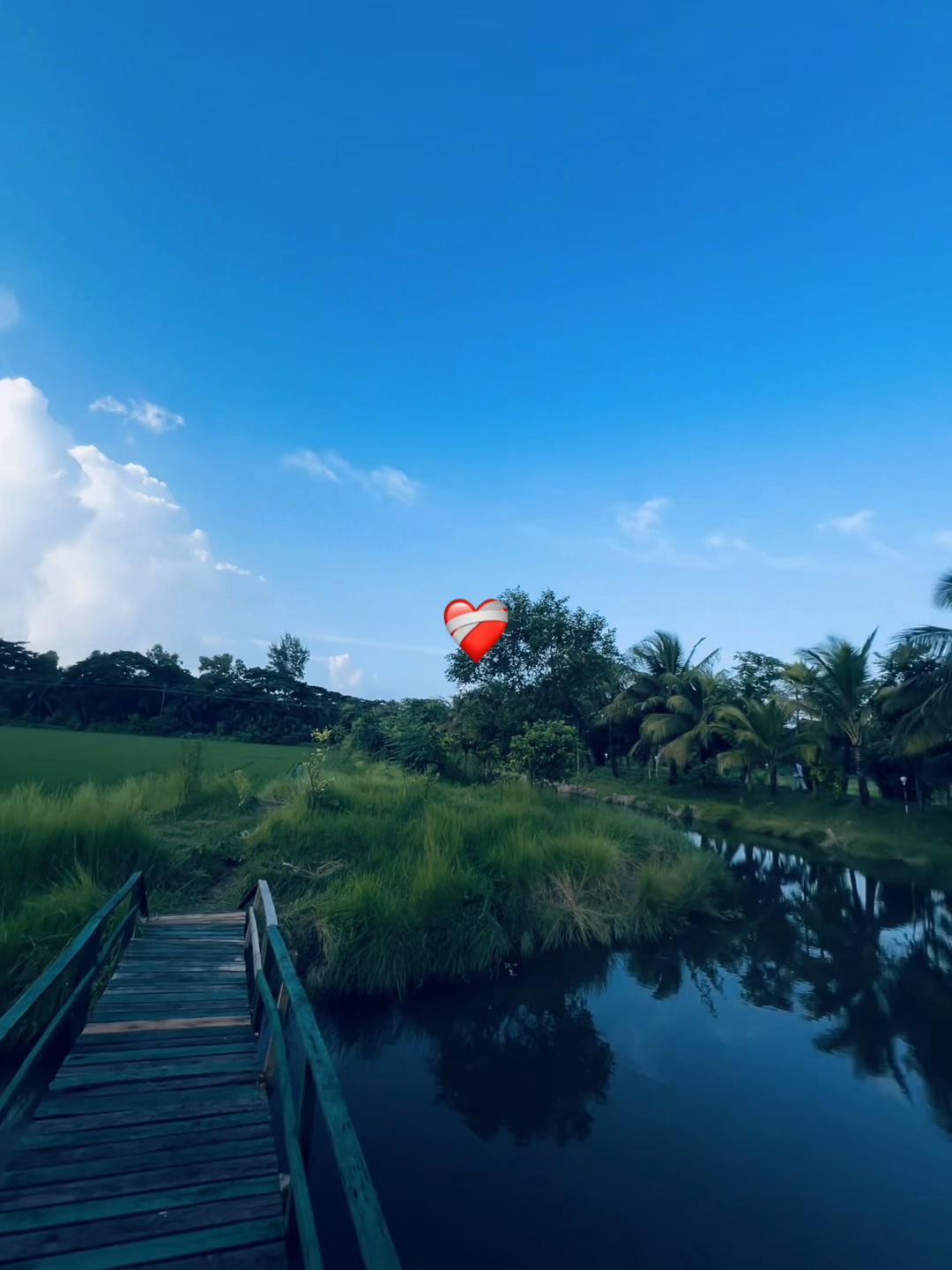 @পরিবারের ছোট ছেলে..🙂🥀