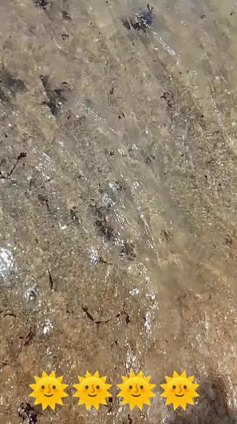 @Bomb&oacute;n