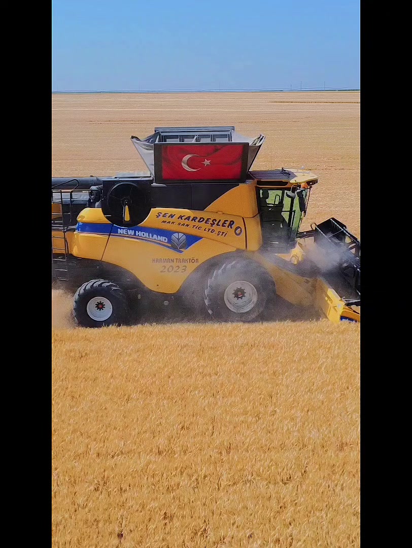 @Ali Şen
