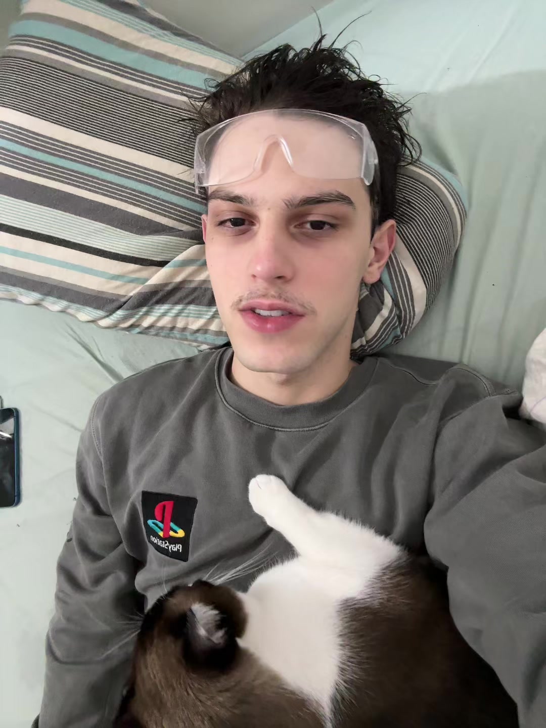 @chipvidareal