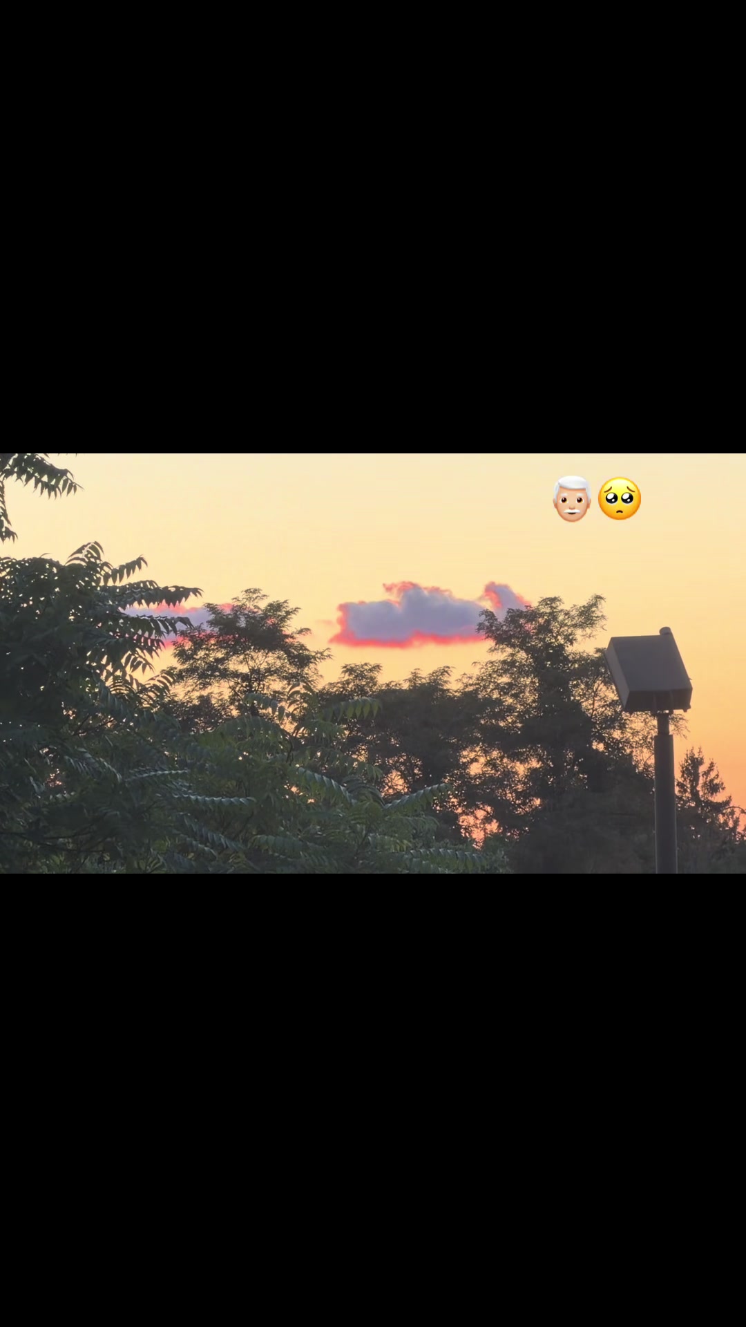 @๐งธ๐ซฏ๐M A R I E L Y๐๐ซฏ๐งธ