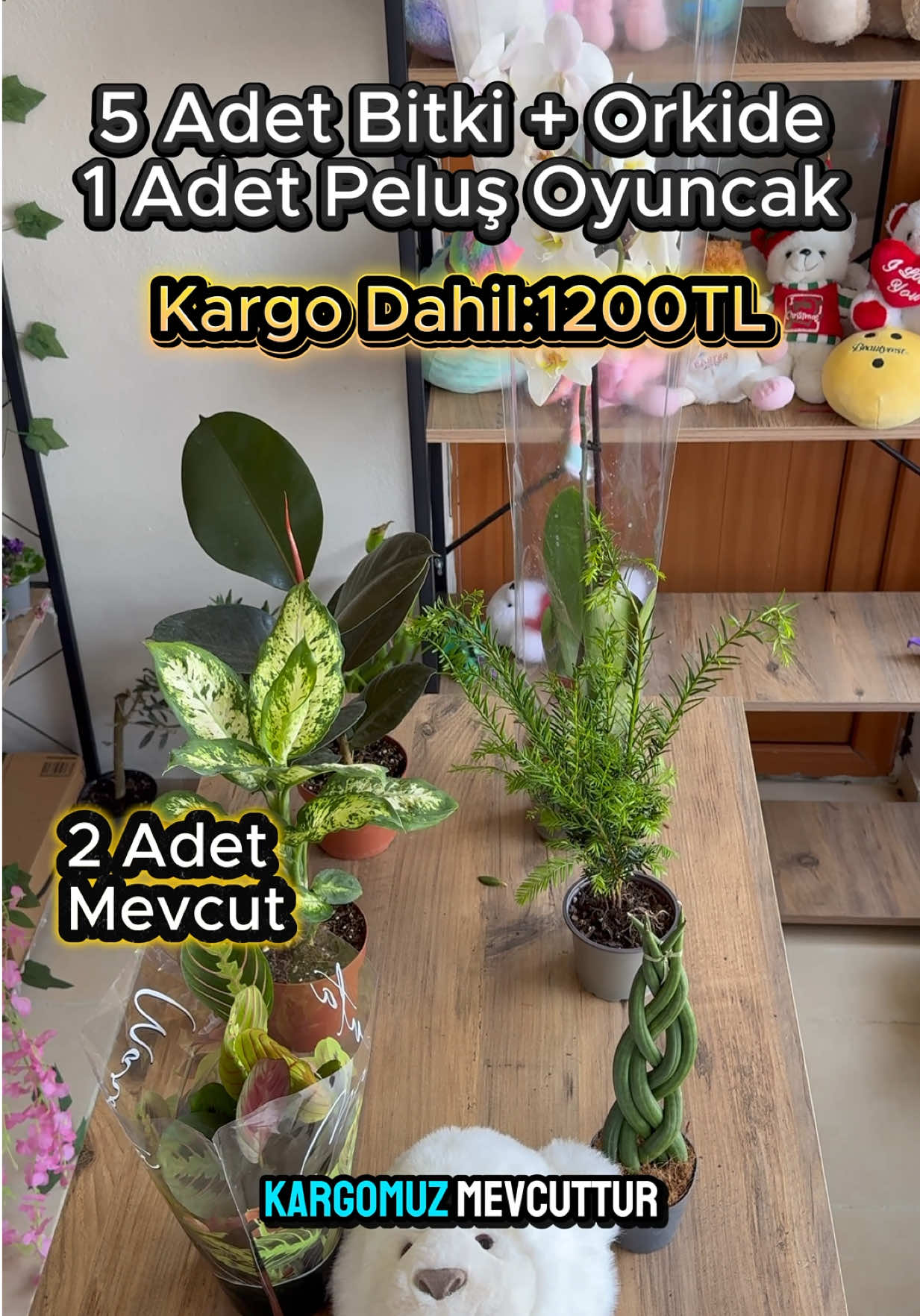 @Saklı bah&ccedil;e Bitkileri