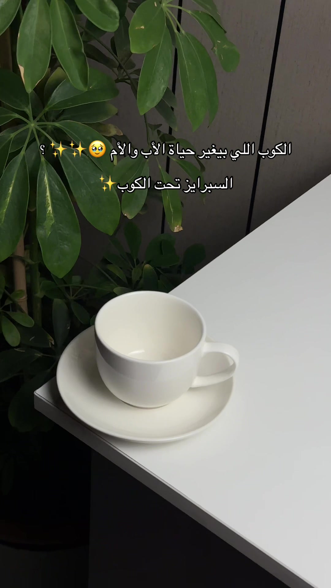 @وعد محمّد | جازان 📍.