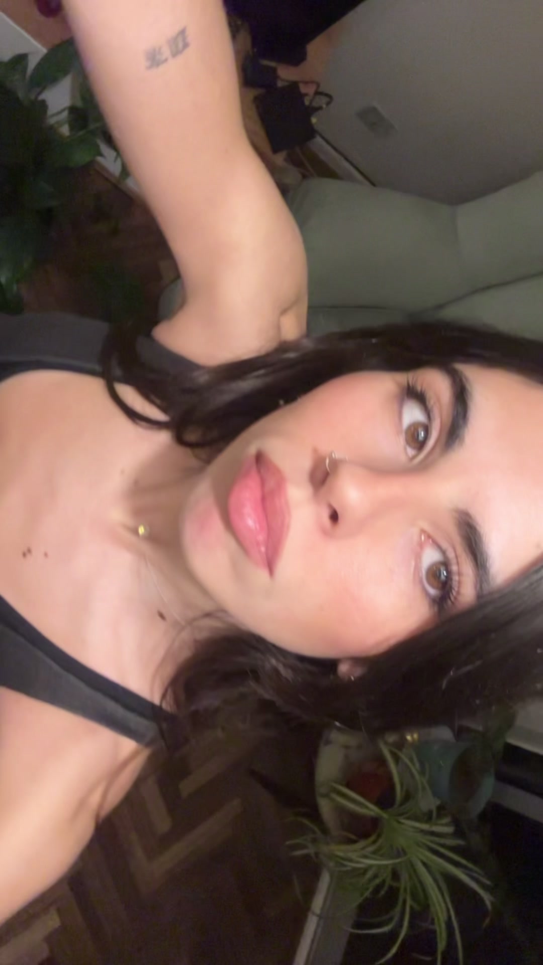 @palorepetto