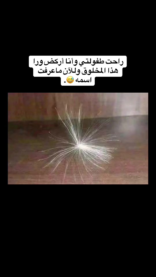 @khaled 🇲🇷