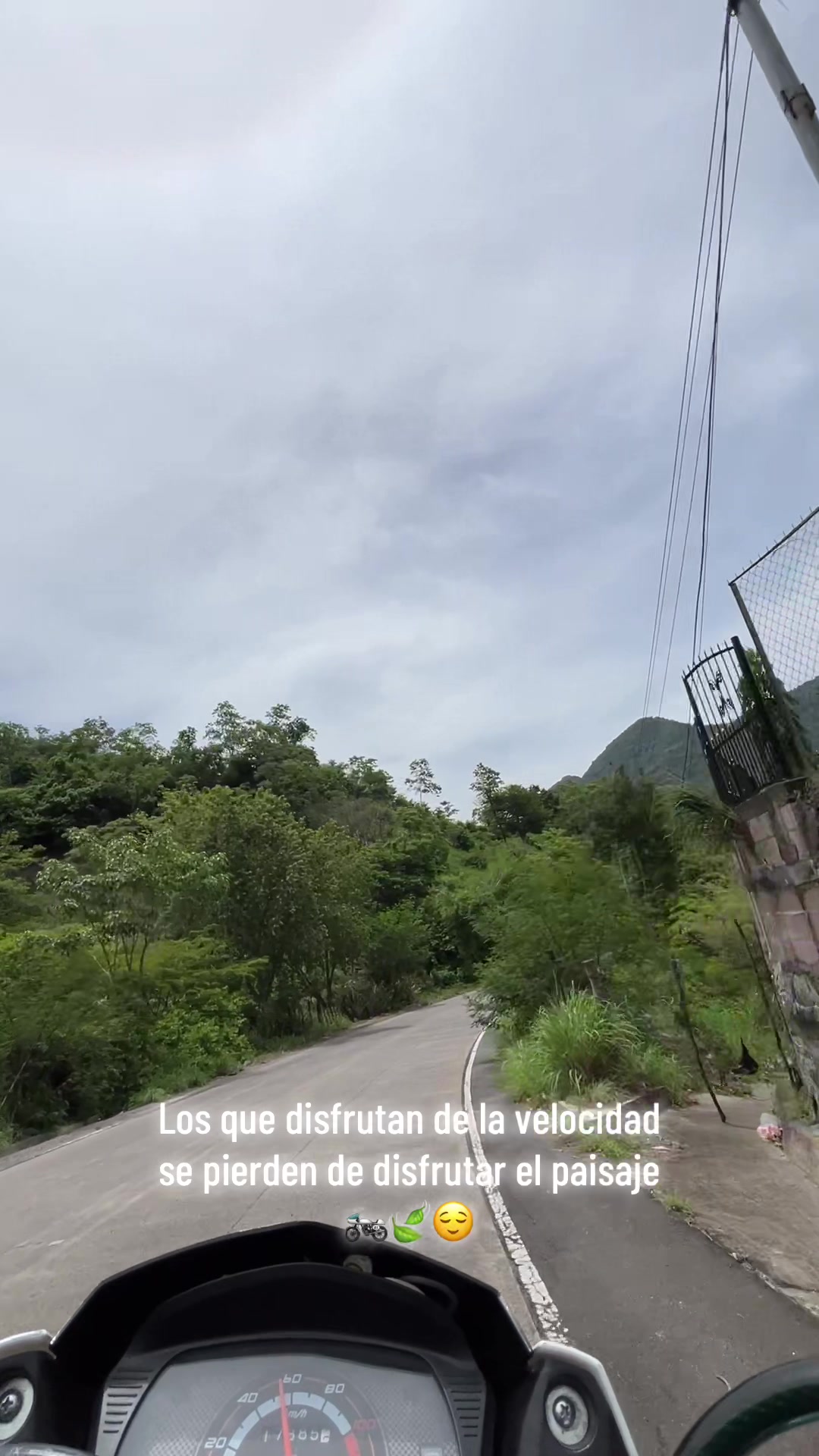 @𝔼𝕝_𝕁𝕠𝕪𝕒 🍃