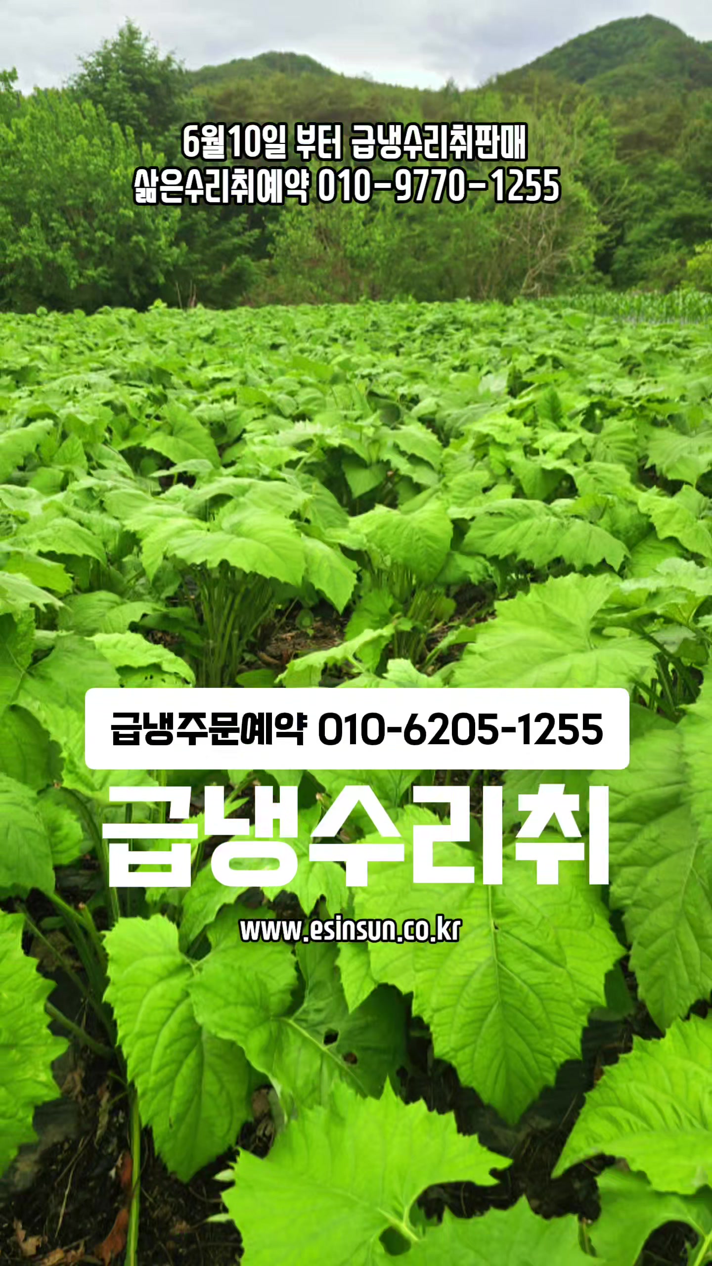 @🔥고물급남자