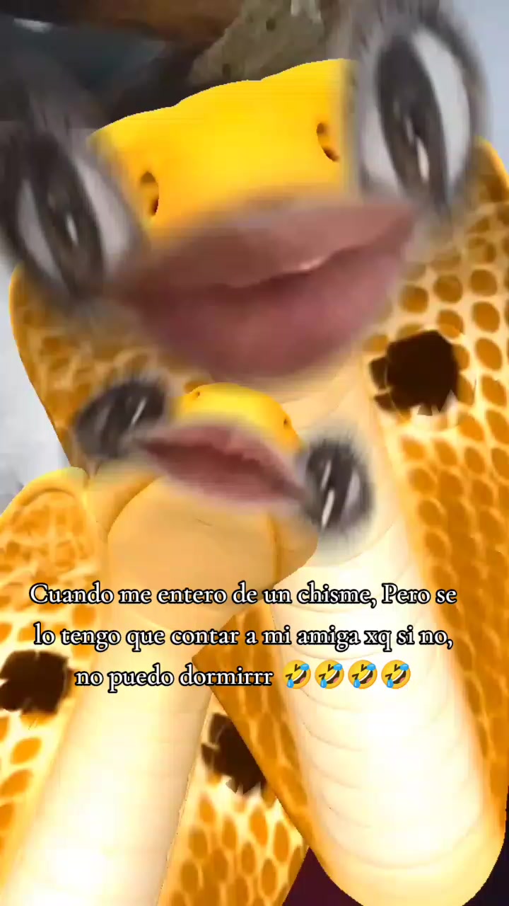 @Tu_lulu🥀☄️🦩