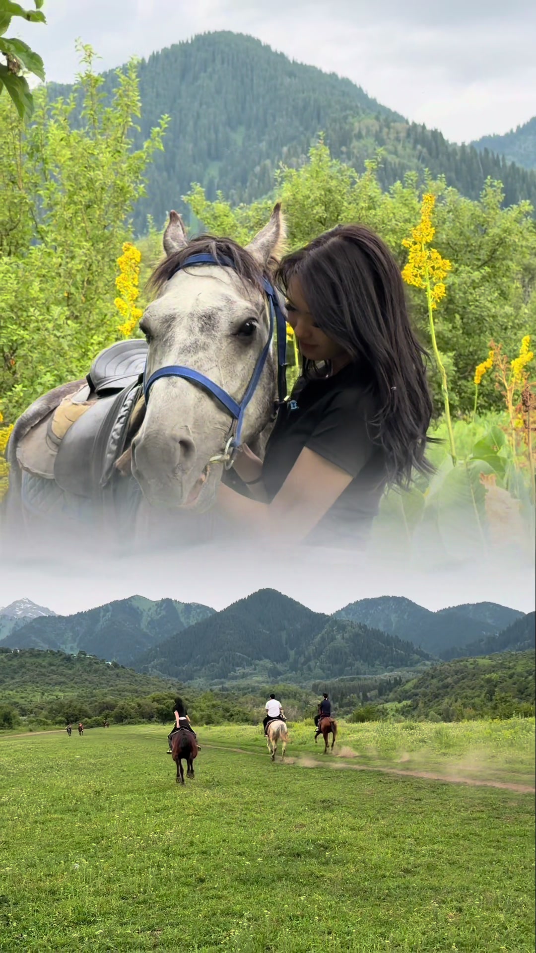 @akshatau_horses